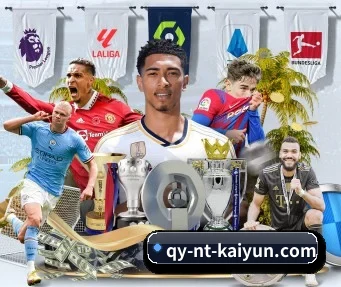 开云体育 APP（kaiyun）